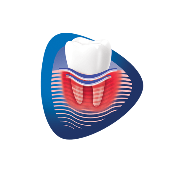 סמל שן על רקע צורה כחול ואדום