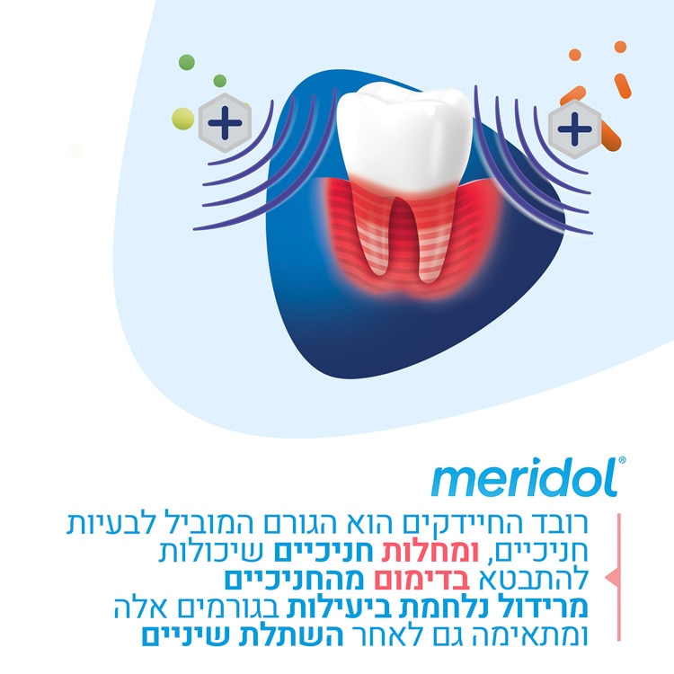 מי פה מרידול פרדונט אקספרט לחניכיים