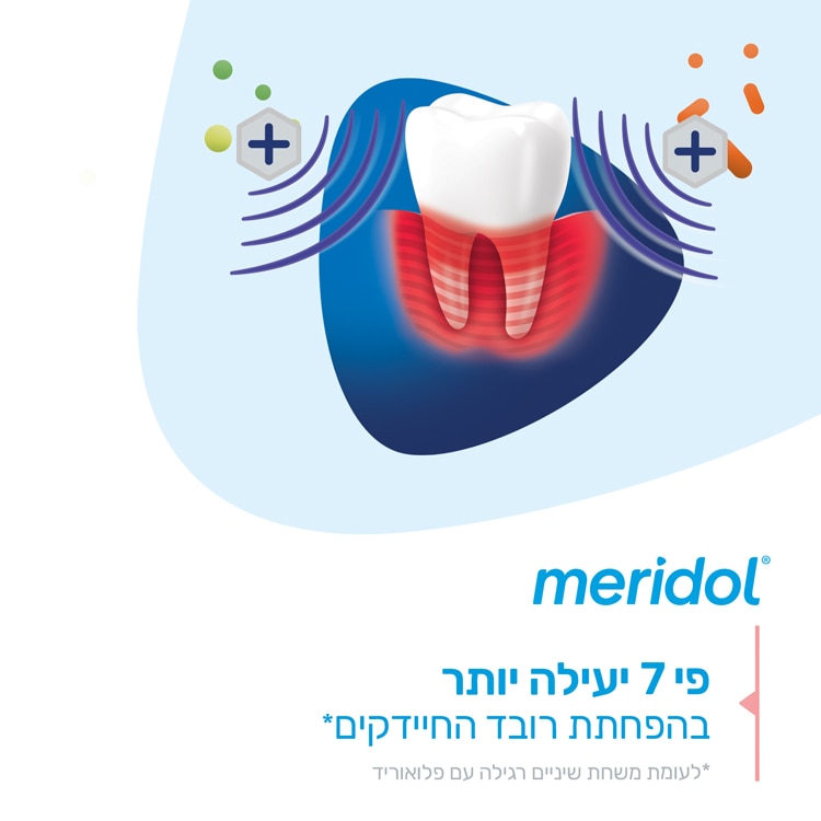 משחת שיניים לחניכיים מרידול פרודונט אקספרט